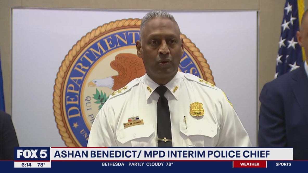 Over a dozen gang members in custody